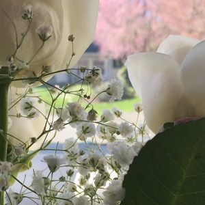 Meet your Posher, Nevaeh